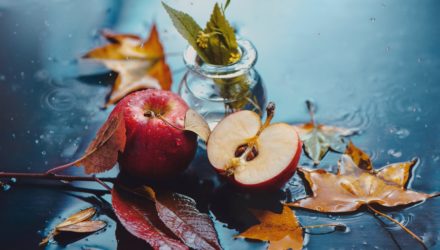 Okiem biometeorologa – analiza bieżącej sytuacji pogodowej